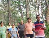 Jungle-walk-1